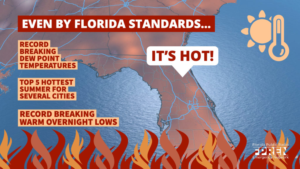 Florida Heat Wave June 2024 - Meara Sibylla