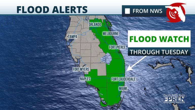 The Rainy Season has Begun in Parts of Florida | Florida Storms