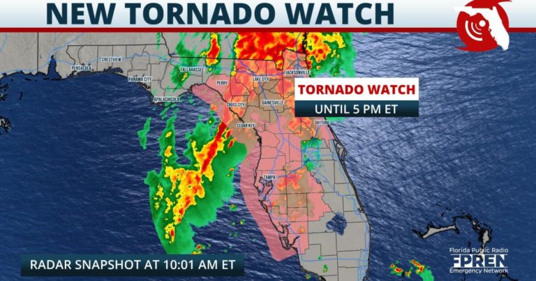 A Tornado Watch has been issued for north and central Florida | Florida ...