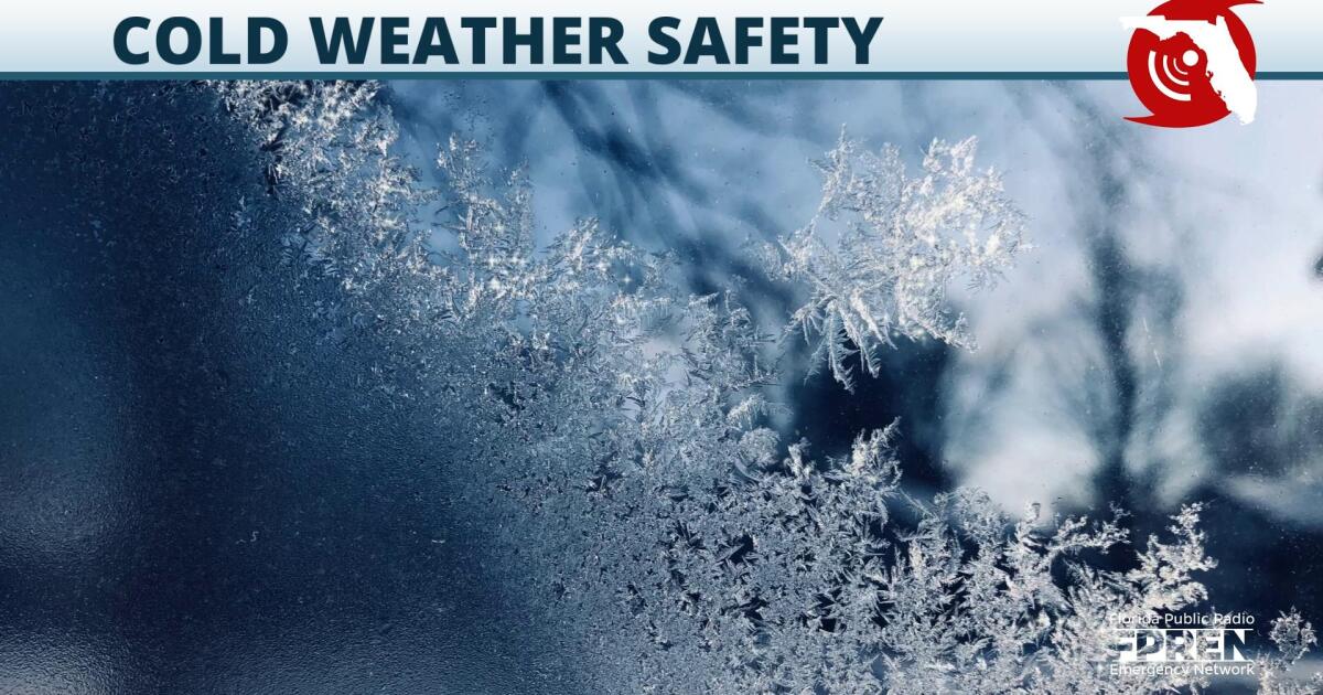 Experts stress cold weather safety ahead of a frigid holiday weekend Florida Storms
